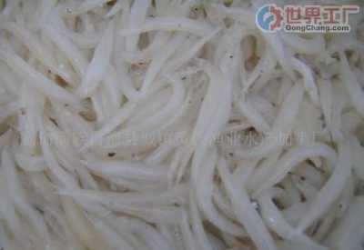 無錫市水產(chǎn)公司冷凍加工廠 專業(yè)水產(chǎn)品冷凍加工服務(wù)