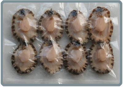 水產(chǎn)品冷凍加工全解析 從優(yōu)質(zhì)鮑魚(yú)肉市場(chǎng)看市場(chǎng)趨勢(shì)與規(guī)范